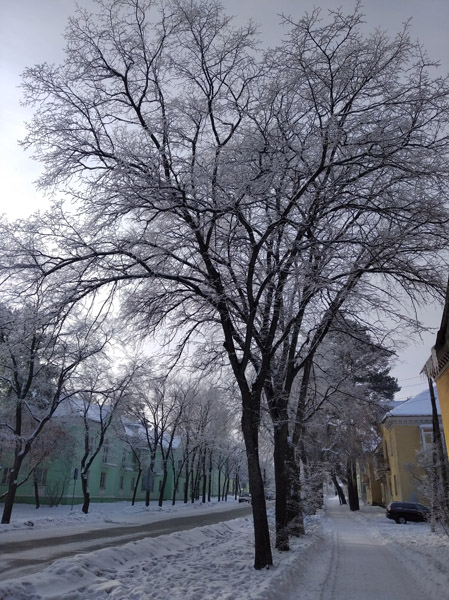 Зимний день, город Озёрск