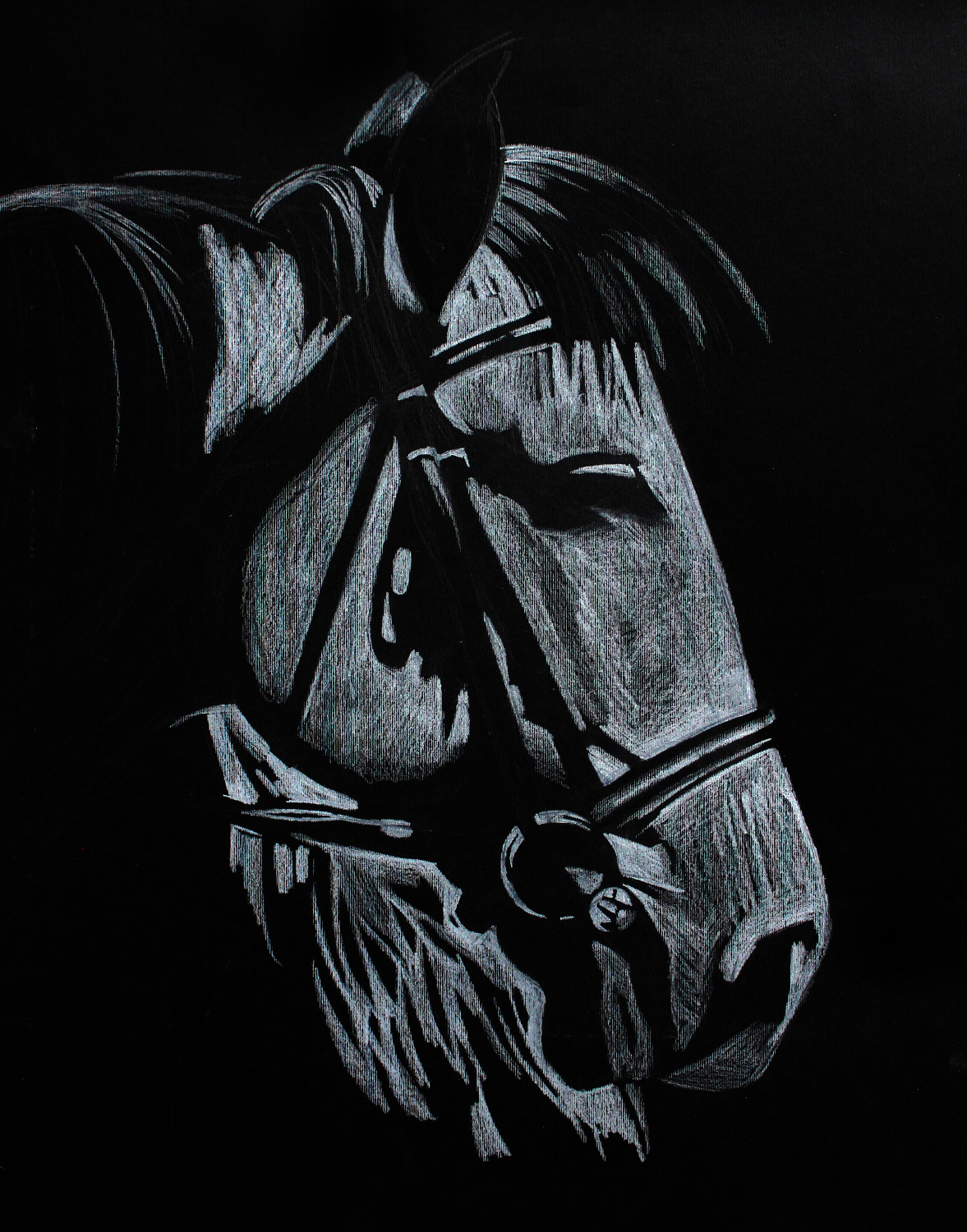 Рисунок, графика и акварель Марии Пономарёвой   Графика и акварель | Лошадь