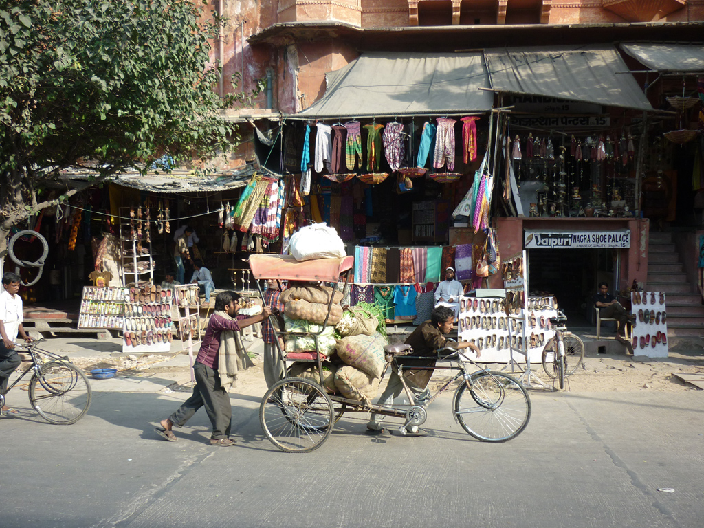 Сонник дорог: прогулки по Индии   Раджастхан (I) | Колесо сансары