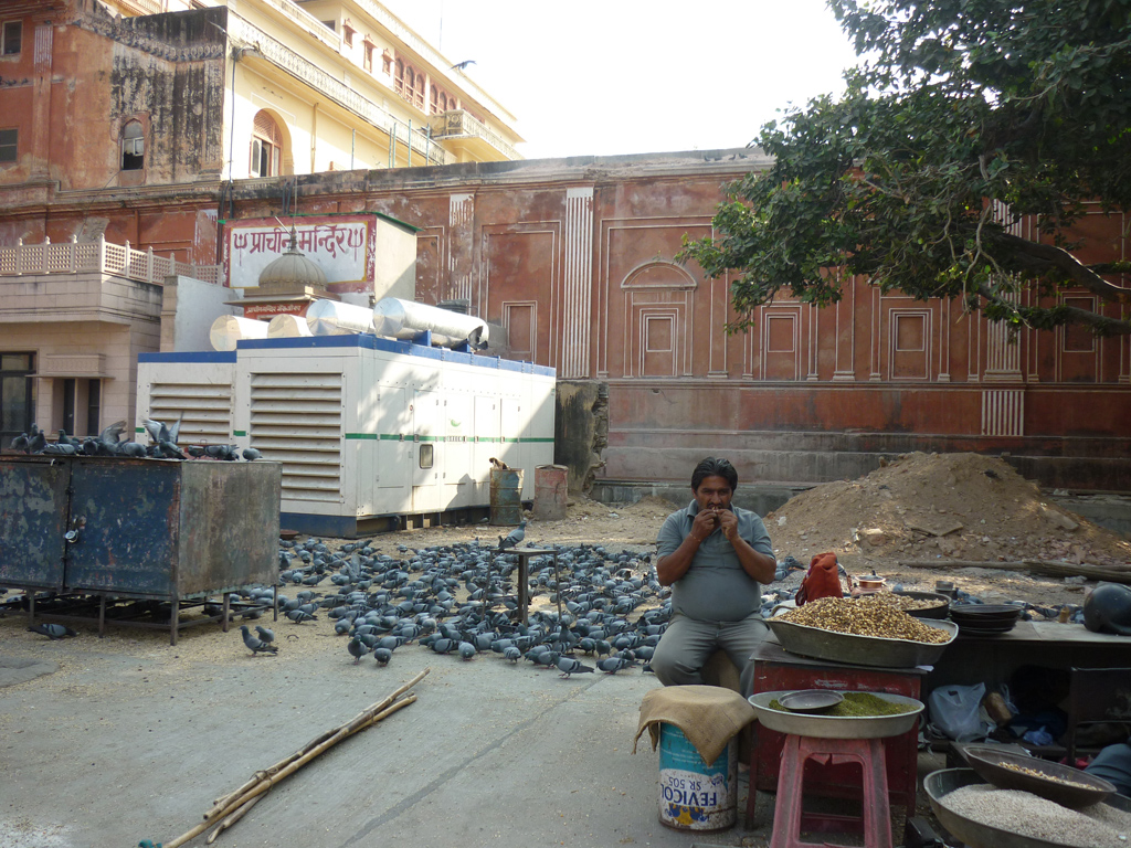 Сонник дорог: прогулки по Индии   Раджастхан (I) | Еда и голуби