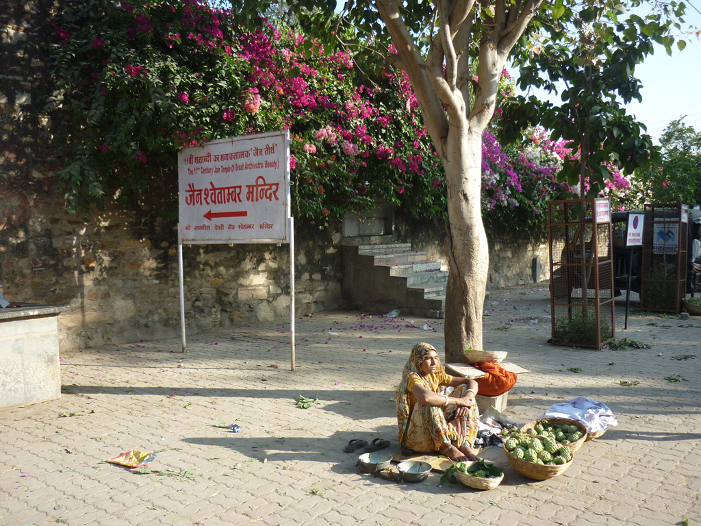 Сонник дорог: прогулки по Индии   Раджастхан (II) | Самая вкусная шарифа в Индии