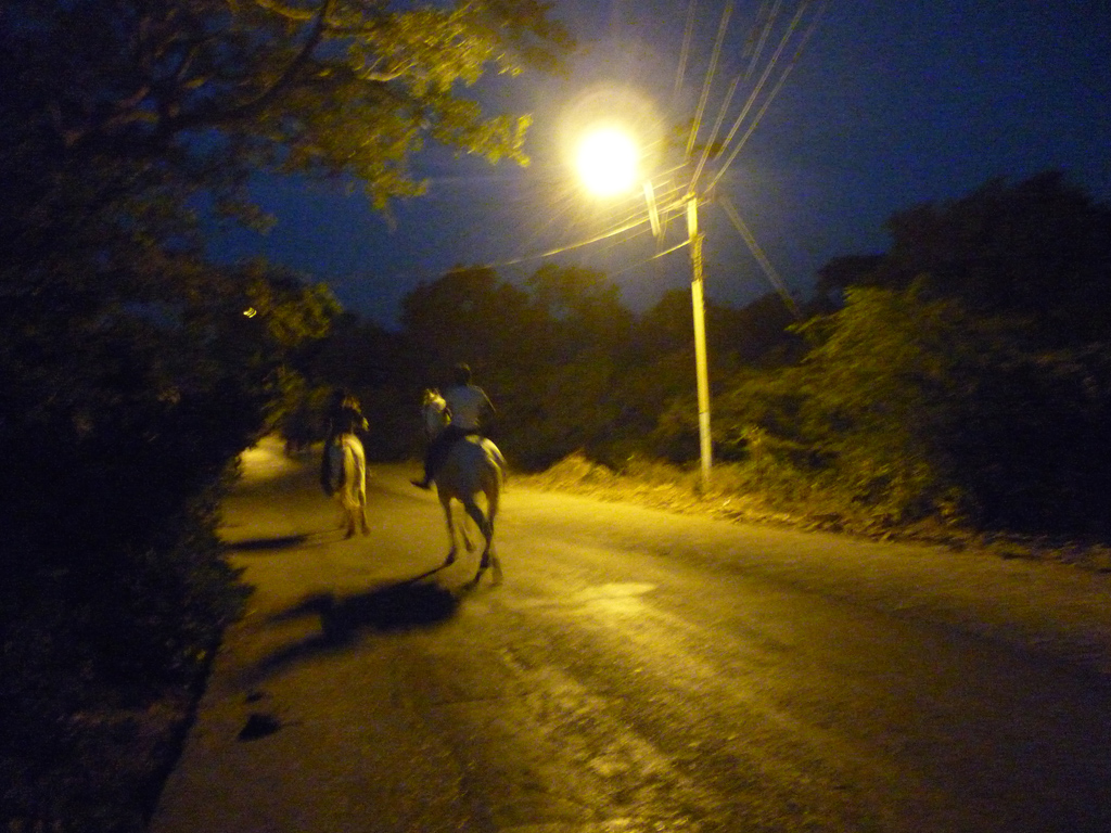 Сонник дорог: прогулки по Индии   Раджастхан (II) | Убегают последние призраки
