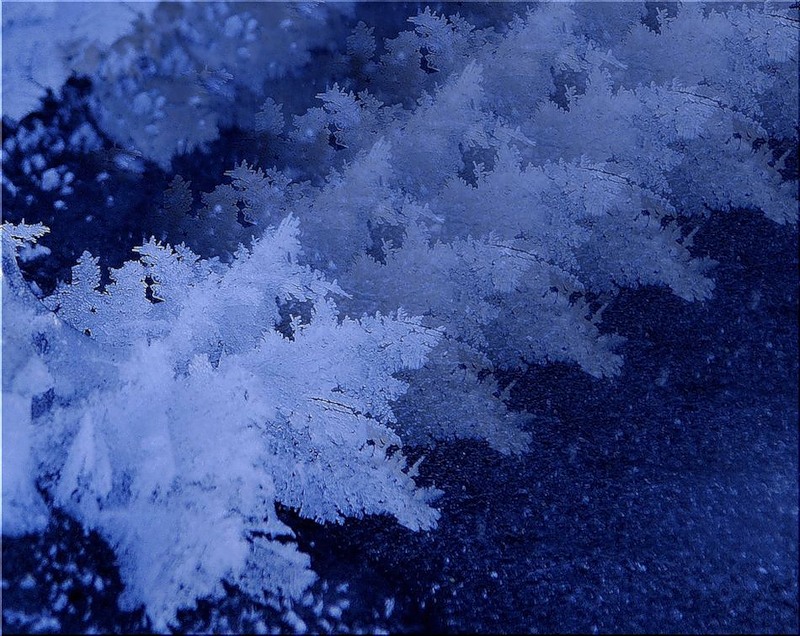 Фотофильмы   Ледяное царство | 