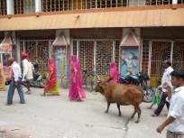 День, улица, корова, сари...