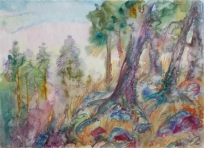 Дремучий лес. 2008